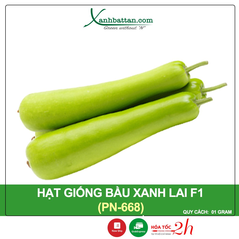 Hạt Giống Bầu Lai King F1 Phú Nông Gói 1 Gram