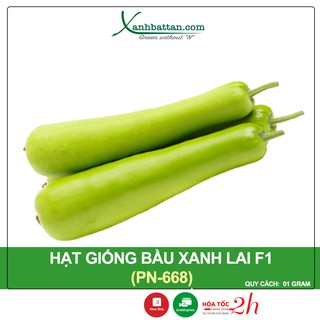 Hạt giống bầu lai king f1 phú nông gói 1 gram