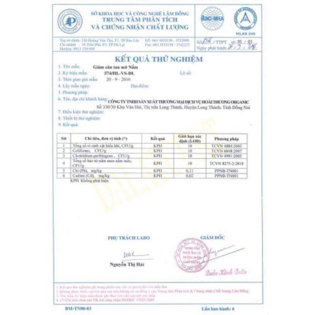 giảm cân khử mỡ cafe sbody green tea | BigBuy360 - bigbuy360.vn