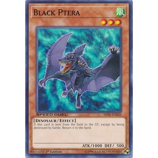 Bài yugioh speed duel - Black Ptera - SBTK-EN020 - Common 1st Edition