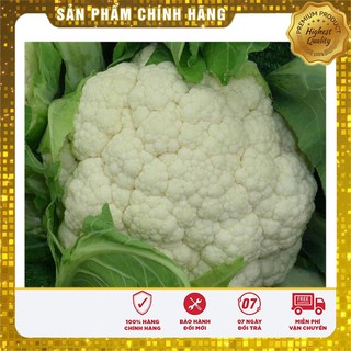 Hạt giống rau súp lơ trắng - 0,5gr