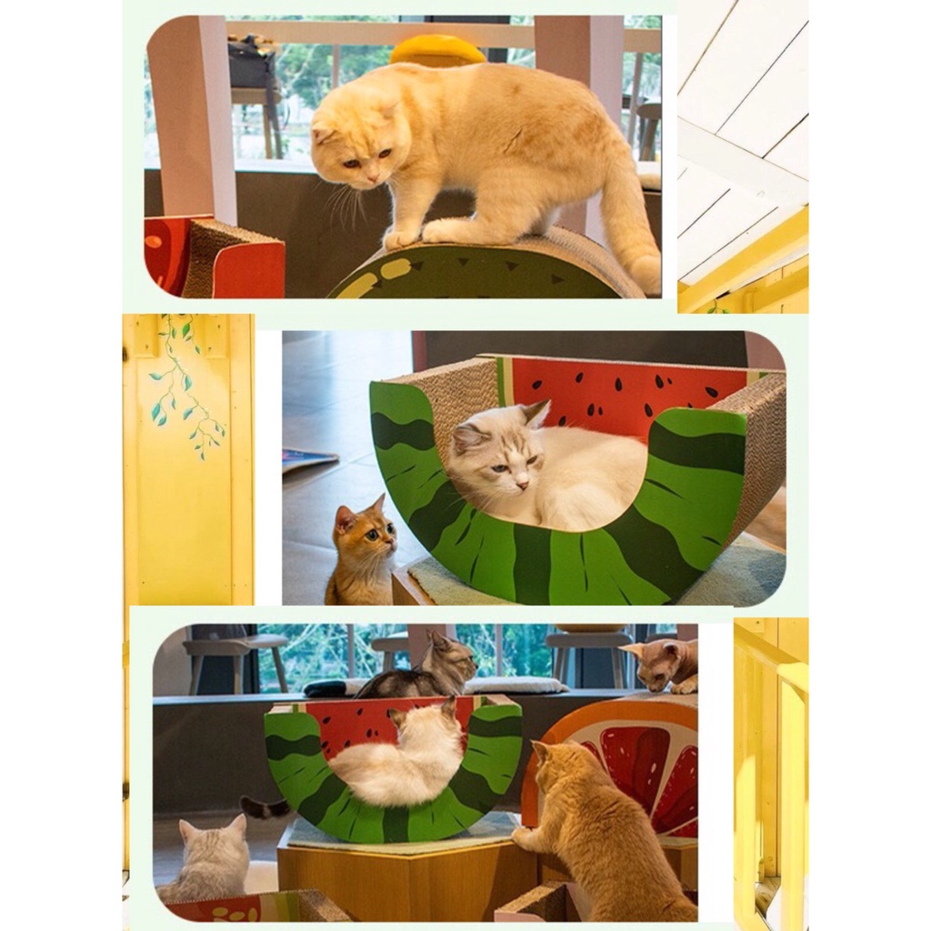 [Must try]Cào móng kết hợp ổ nằm cho mèo hình cam và dưa hấu