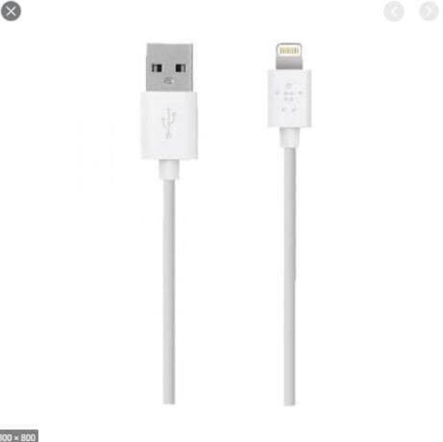 Bộ củ + Cáp sạc nhanh 24W cho iPhone/ iPad chính hãng Belkin - Bảo hành 6 tháng