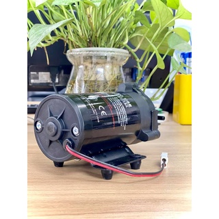 Bơm máy lọc nước - Bơm 24V Phun Sương