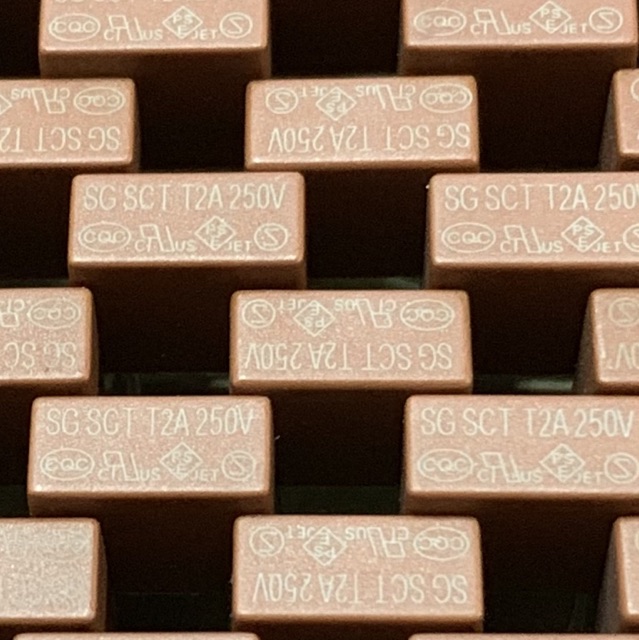 10 chiếc Cầu chì hộp plastic 2A 250V