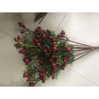 hoa giả,lựu nhỏ