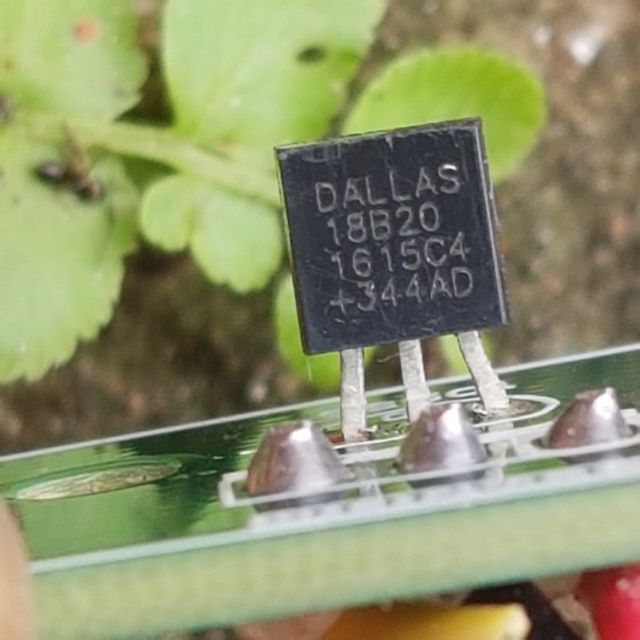 Cảm biến nhiệt DS18B20 DALLAS