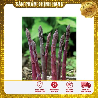 Hạt Giống Măng Tây Tím(10 hạt)