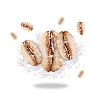 Cám Lúa Mì Hữu Cơ Sottolestelle 375g