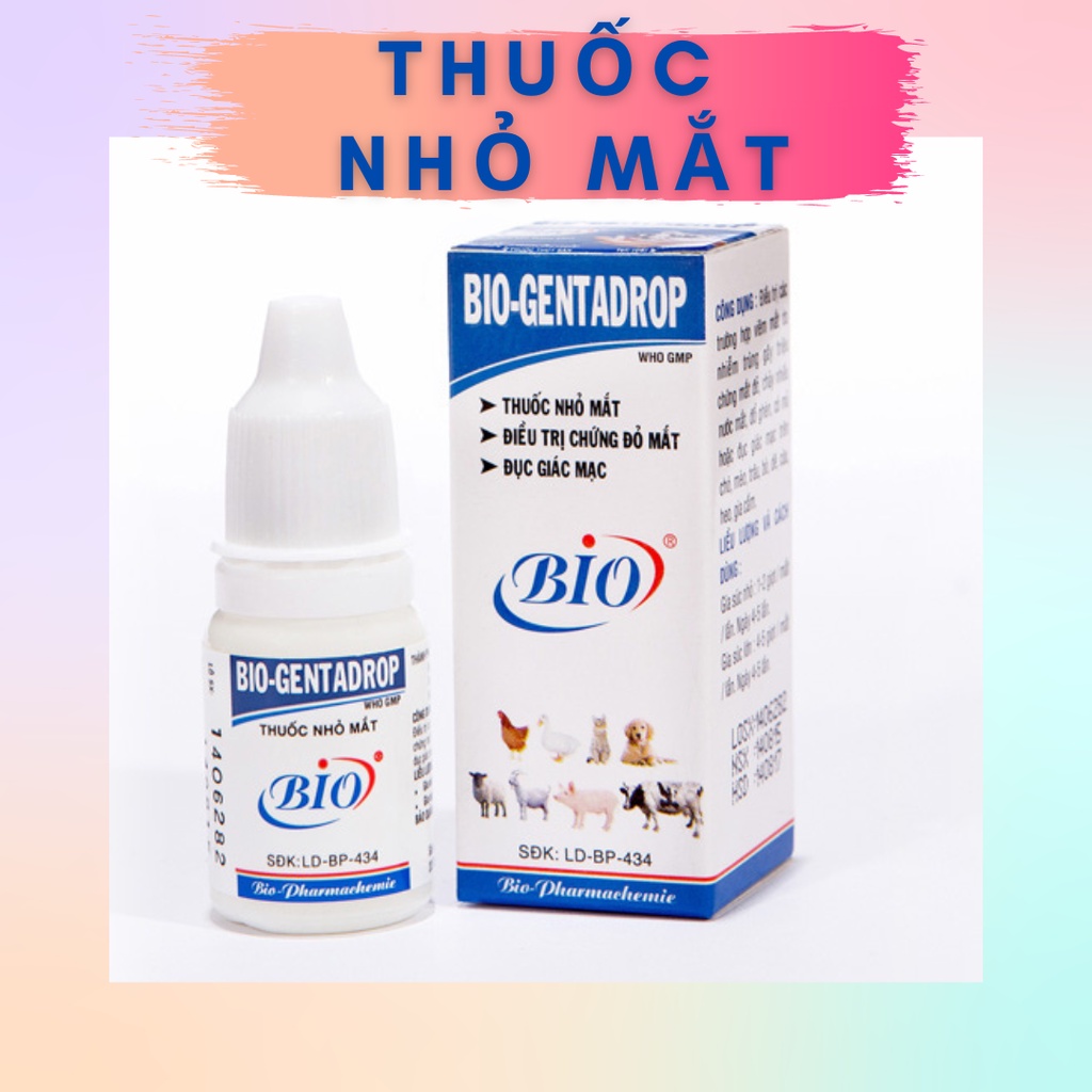 Thuốc nhỏ mắt cho thú cưng Hamster