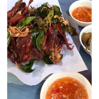 KHAY 10 CHIM CÚT TO