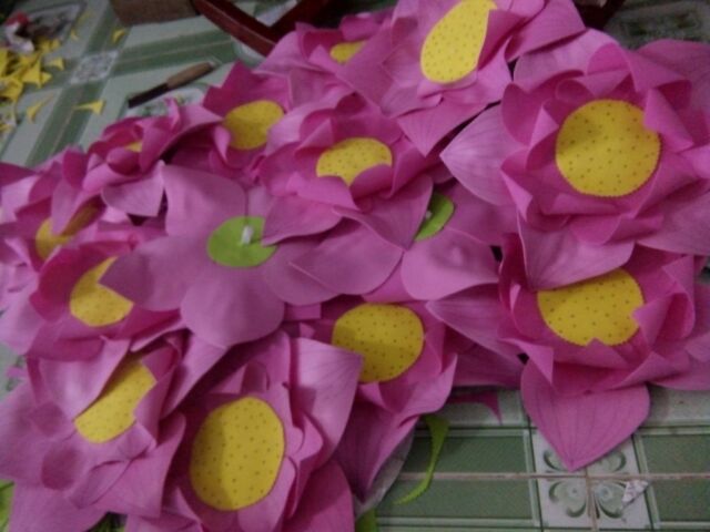 Hoa sen múa cho bé | BigBuy360 - bigbuy360.vn