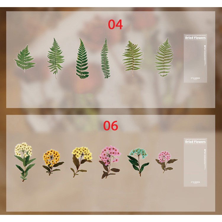 Sticker dán trang trí hình hoa lá