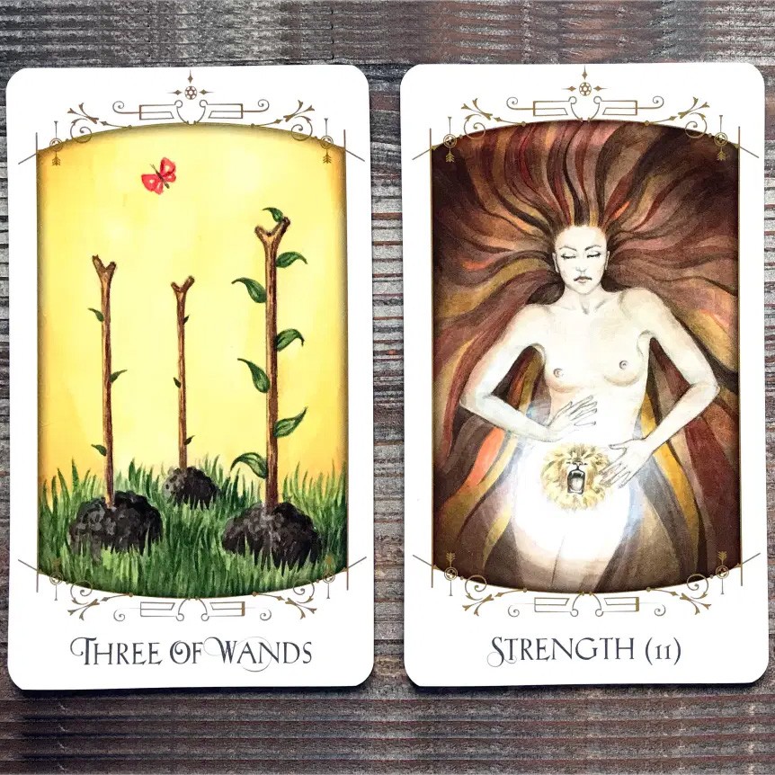 Bộ Bài Insight Tarot (Mystic House Tarot Shop) - Bài Gốc Authentic Chính Hãng 100%