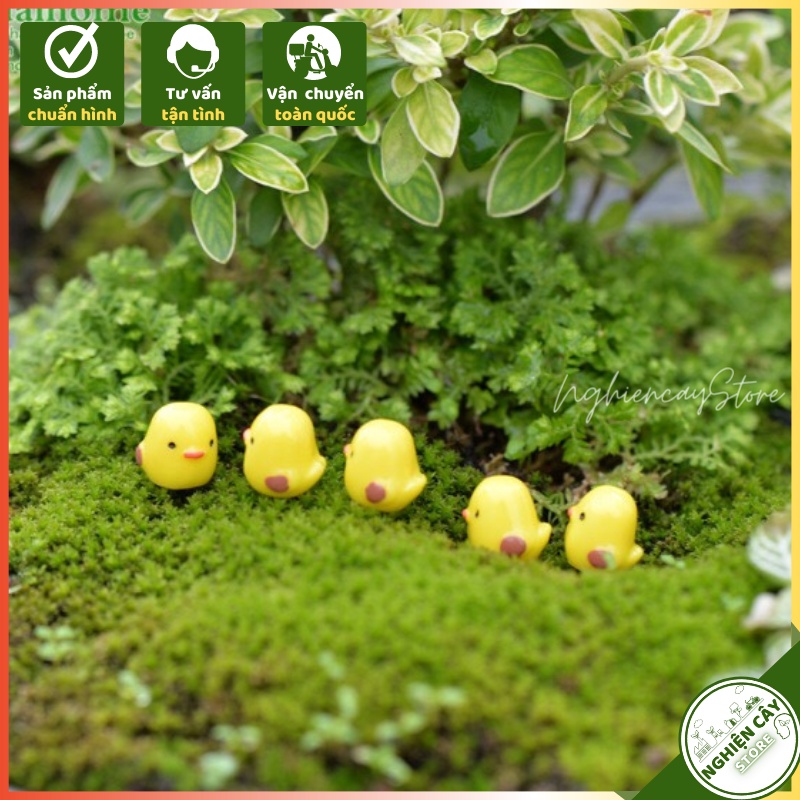 Combo 100 Gà con trang trí tiểu cảnh, cây cảnh, sen đá