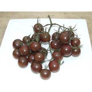 Hạt Giống Cà Chua Đen Cherry túi 30 hạt