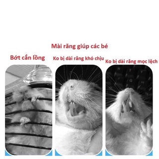 Bàn chải mài răng hamster (1 cây)