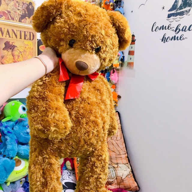 Gấu teddy màu nâu dễ thương