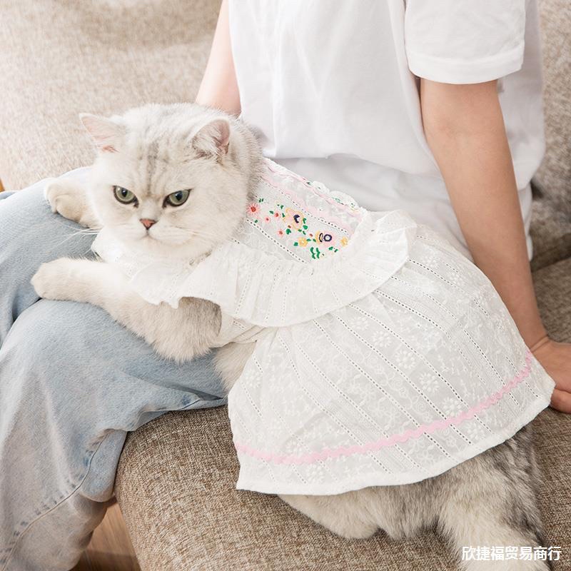 Váy ren trắng thêu hoa nhí xinh xắn cho chó mèo