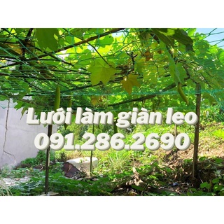Lưới làm giàn cây leo