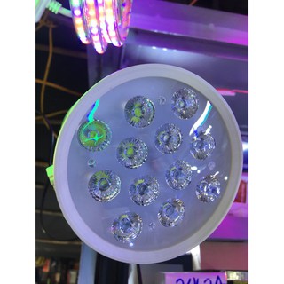 Đèn rọi ray Led 12w SMD