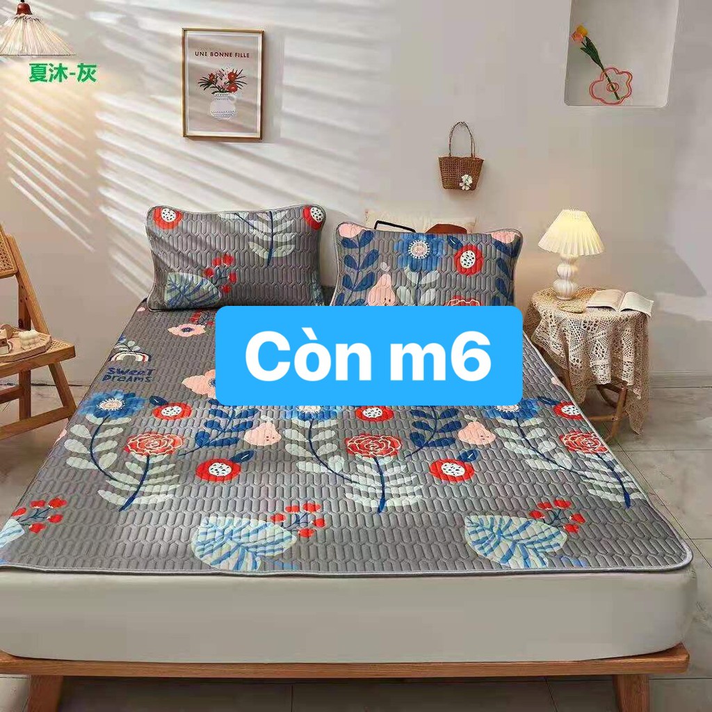 Chiếu điều hoà Latex cao su non 3D hàng nhậpkhẩu mẫu hot 2020