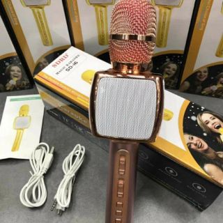 Micro Hát Karaoke kiêm loa Bluetooth SD16
