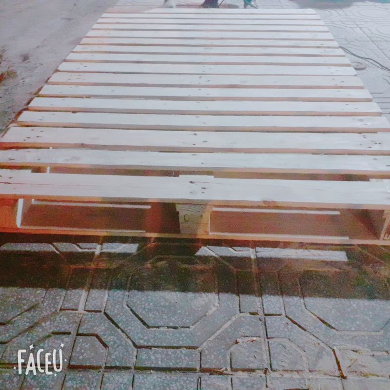 Giường pallet đơn 1m2×2m×20cm giá rẻ