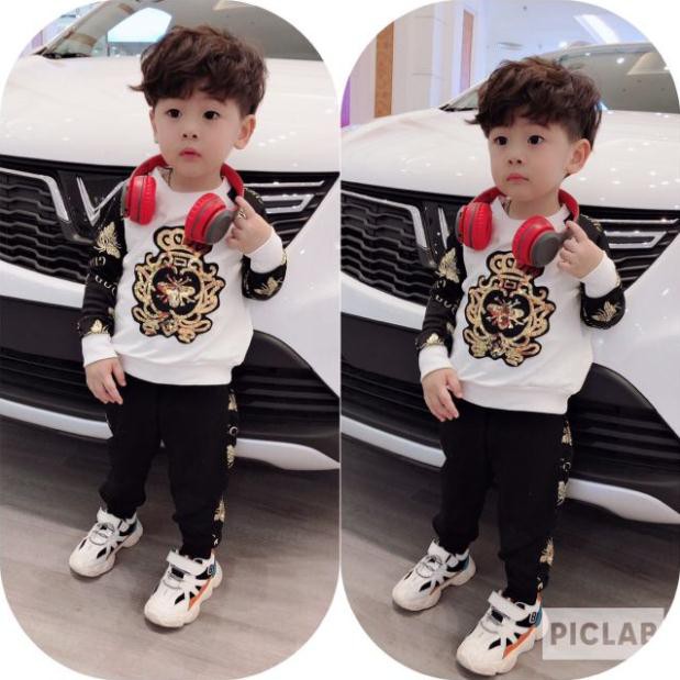 Bộ nhũ cao cấp cho bé