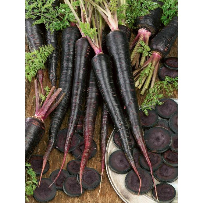 50 Hạt Giống Cà Rốt Đen Tím Black Giàu Anthocyanin