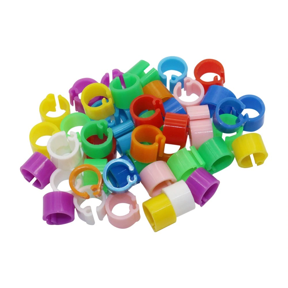 Bộ 100 Vòng Đeo Chân Chim Bồ Câu 6mm Hiện Có 10 Màu