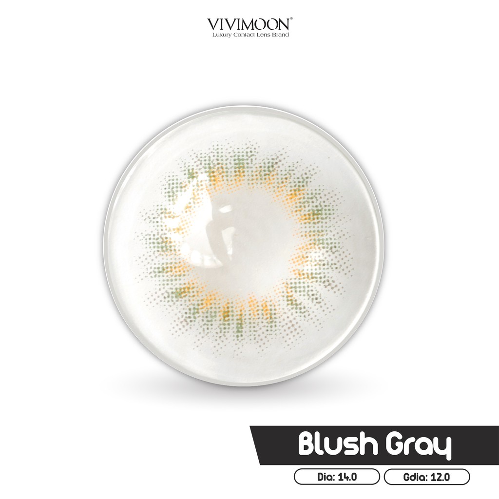 10 Mẫu Lens Cận Xám Tây Vivimoon - Kính Áp Tròng Chính Hãng Hàn Quốc