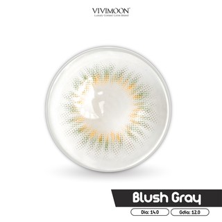 10 Mẫu Lens Cận Xám Tây Vivimoon Hàn Quốc