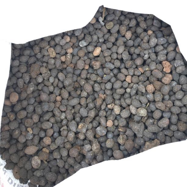 500g Phân Dê Đã Qua Xử Lý- Phong Lan - Phân Bón Cho Cây Trồng- Cây Ăn Trái