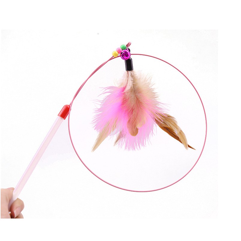Cần Câu Mèo Dây Thép Giá Rẻ #MintPet