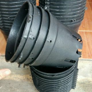 Sét 50 chậu trồng lan đen phi 16cm