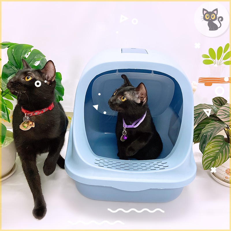 Nhà vệ sinh cho mèo hình thang