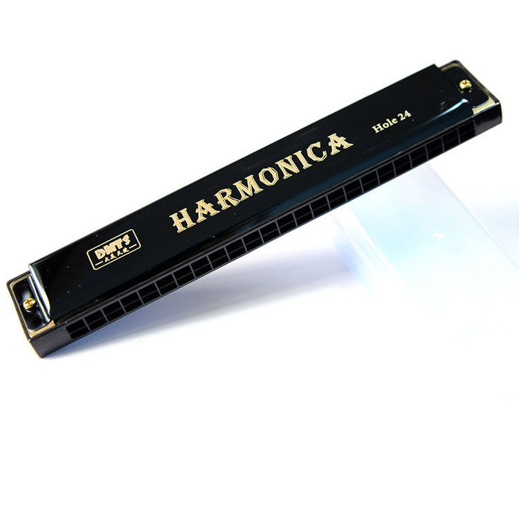 Kèn Harmonica 24 Lỗ Cho Người Mới Bắt Đầu Học