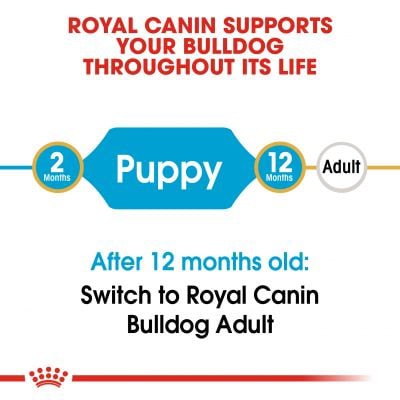 Royal Canin Bulldog Puppy 3kg - Thức ăn hạt cho chó con giống bulldog 3kg