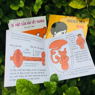 Sách Ehon Khoa học - Bí mật của rốn