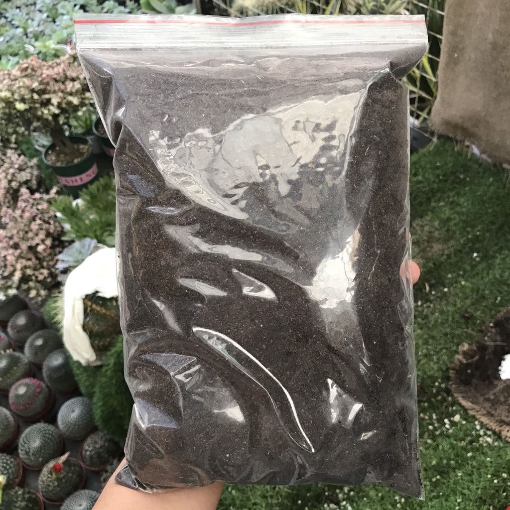 ĐẤT PEATMOSS, THAN MÙN RỂU CAO CẤP SIÊU DINH DƯỠNG, GIÁ THỂ ƯƠM MẦM, ƯƠM HẠT GIỐNG