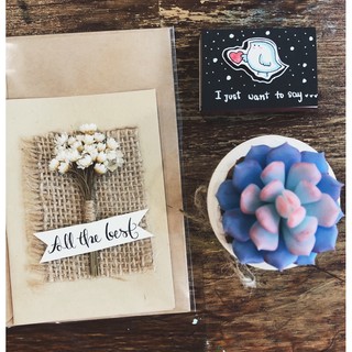 Sen đá Handmade [ĐẤT SÉT NHẬT CAO CẤP] Đẹp - Bền - Giá tốt