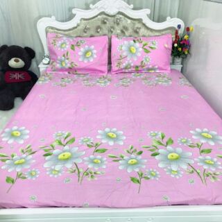 Cotton Hàn Quốc