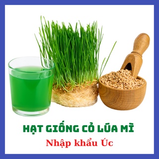Hạt giống có lúa mì,cỏ cho thú cưng,cỏ cho mèo 50g