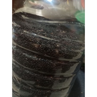 Vừng đen.500g
