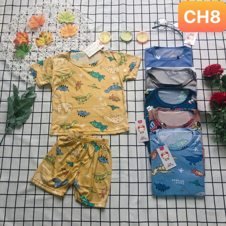 Đồ bộ bé trai bé gái ,Quần áo bé trai bé gái 1 2 3 4 5 6 7 tuổi chất thun lạnh co giãn 4 chiều