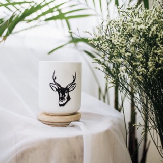 Nến thơm hương sen trắng và gỗ thông