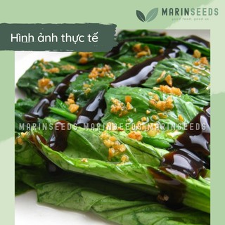 Hạt giống cải ngồng ngọt, thân mập (10gram, 20gram)
