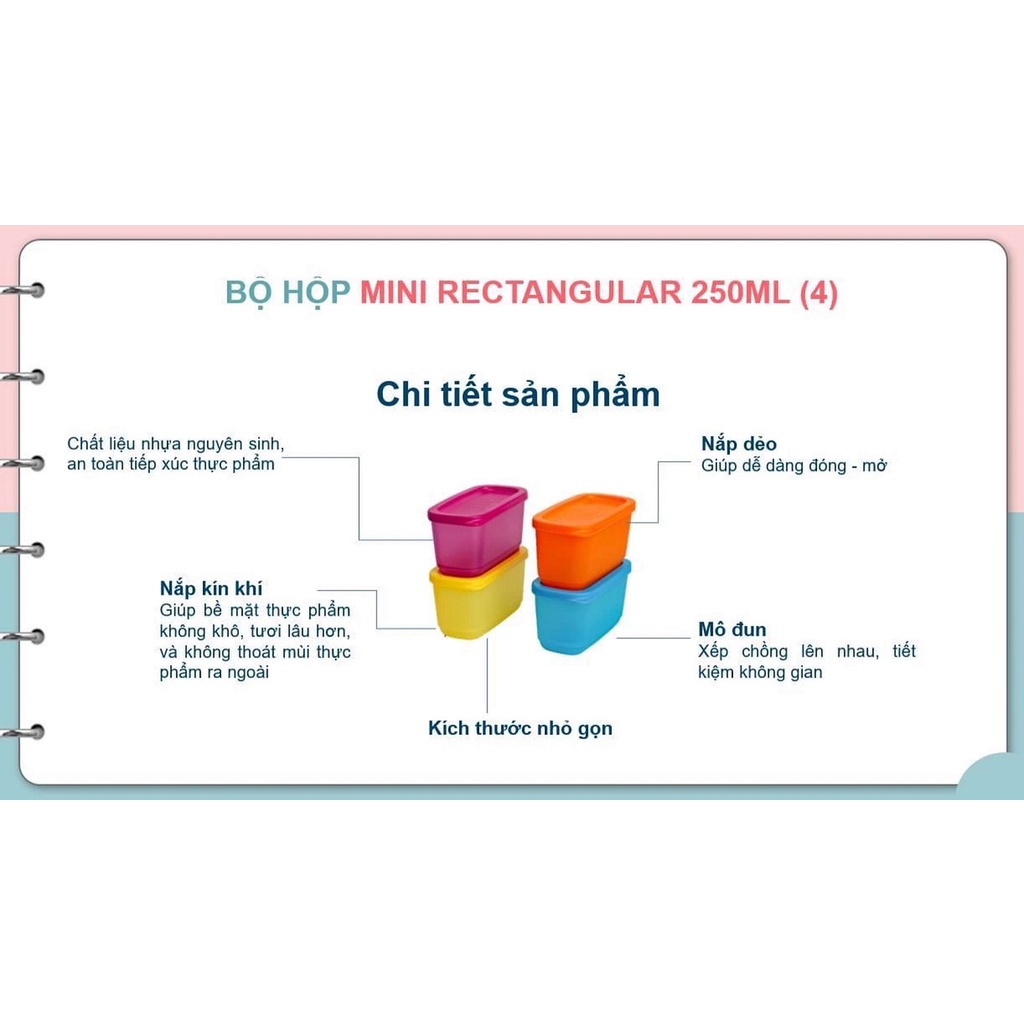 Bộ hộp Mini Rectangular 250ML  - Tupperware