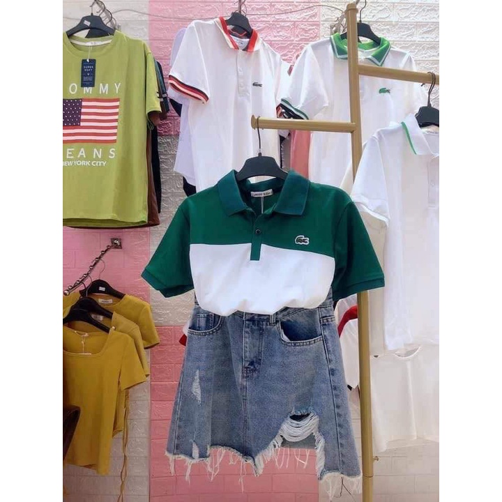{SỐC} Áo nữ polo cao cấp-Hàng đẹp